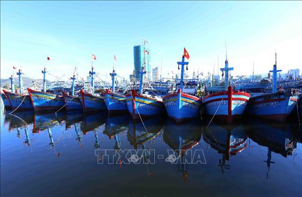 Binh Dinh province issues plan to fight IUU fishing hinh anh 1