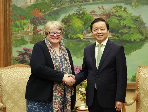 Vietnam, UK look to bolster cooperation in environmental issues hinh anh 1