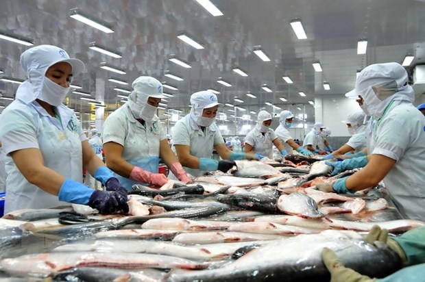Tra fish by-products to become huge money earner: Experts hinh anh 1