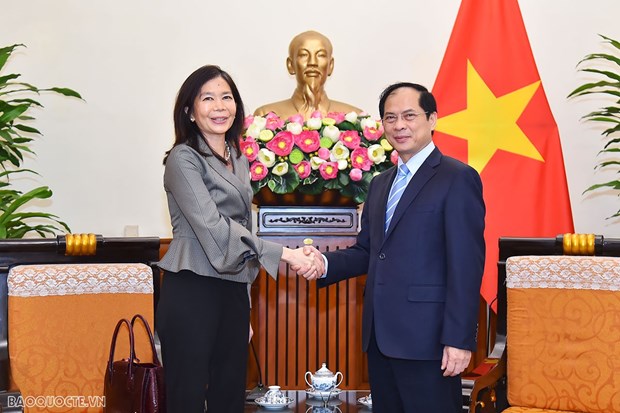 Vietnam calls for UN organisations’ cooperation in priortised areas: FM hinh anh 1