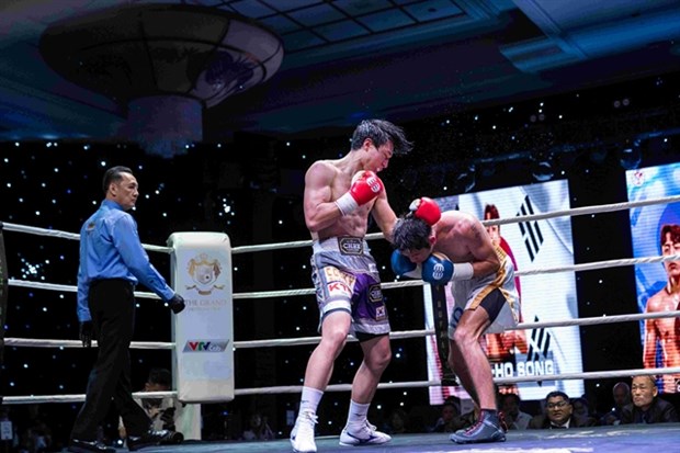 WBO event to feature title match, international boxers hinh anh 1