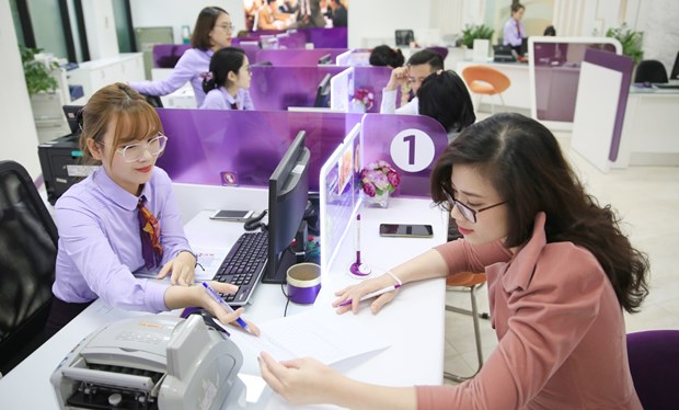 Vietnamese banks draw foreign capital hinh anh 1