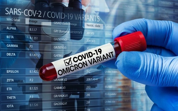 New COVID-19 cases rising again, particularly Omicron variant: health official hinh anh 1