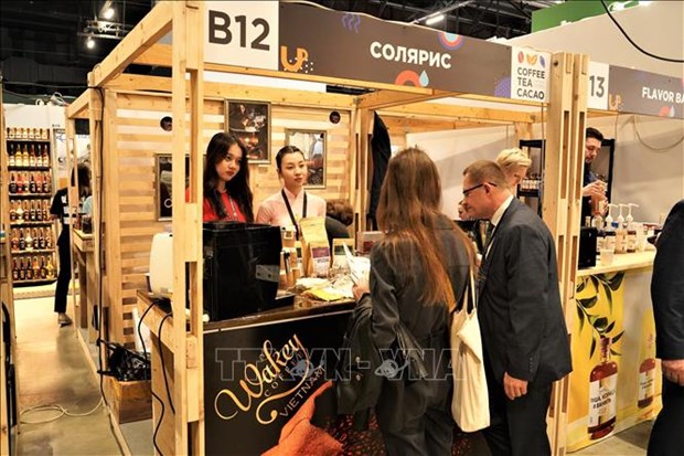 Vietnamese firm seeks ways into Russian coffee market hinh anh 1