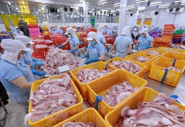 Japan tops importers of Vietnam’s fishery products in Q1 hinh anh 1