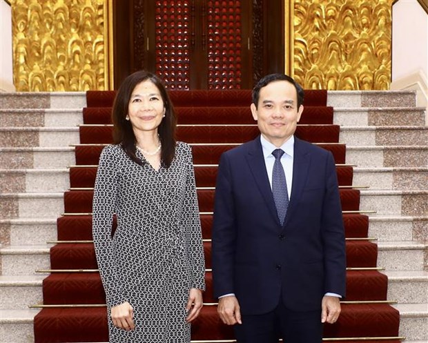 Deputy PM receives UN Resident Coordinator in Vietnam hinh anh 1