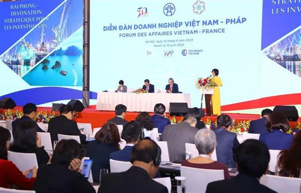 Vietnam, France boast huge cooperation opportunities: business forum hinh anh 1