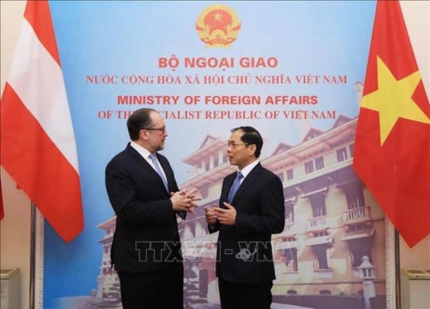 Vietnam hopes to cultivate ties with Austria: Foreign Minister hinh anh 1