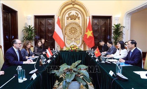 Vietnam hopes to cultivate ties with Austria: Foreign Minister hinh anh 2
