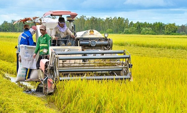 Global conference on transformation of food system to take place next week hinh anh 1