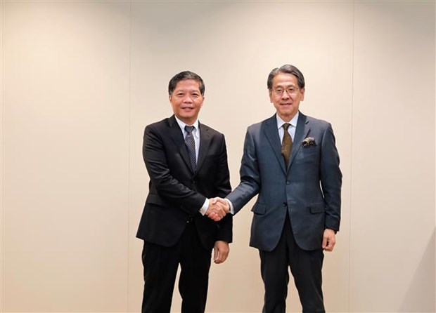 Vietnam, Japan eye stronger extensive strategic partnership hinh anh 2