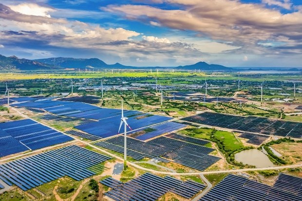 Measures needed to remove obstacles for transitional wind, solar power plants hinh anh 1