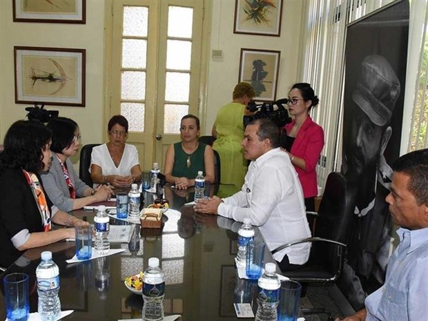 Vietnamese, Cuban news agencies forge cooperation hinh anh 2