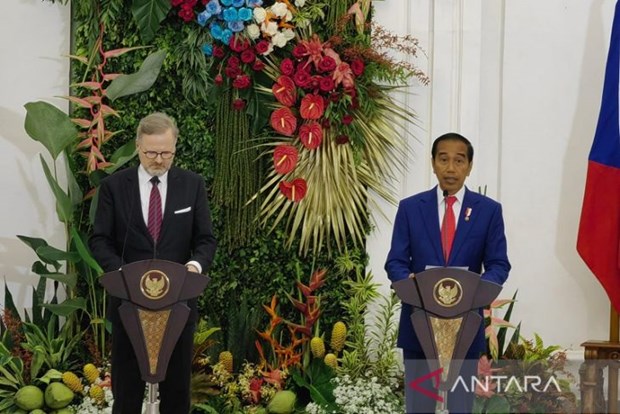 Indonesia calls for Czech investment in new capital hinh anh 1