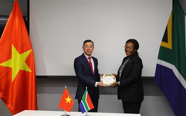 Vietnamese, South African audit offices share experience hinh anh 1