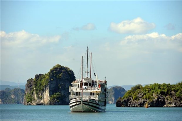 Vietnam among top 10 most attractive destinations in Asia: The Travel hinh anh 1