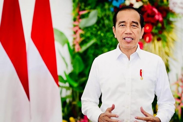 Indonesian President urges prudent response to COVID-19 surge hinh anh 1