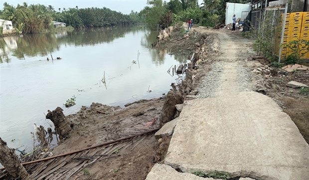 Mekong Delta faces increasing erosion hinh anh 1