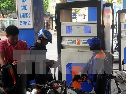 Petrol prices down more than 600 VND per litre hinh anh 1