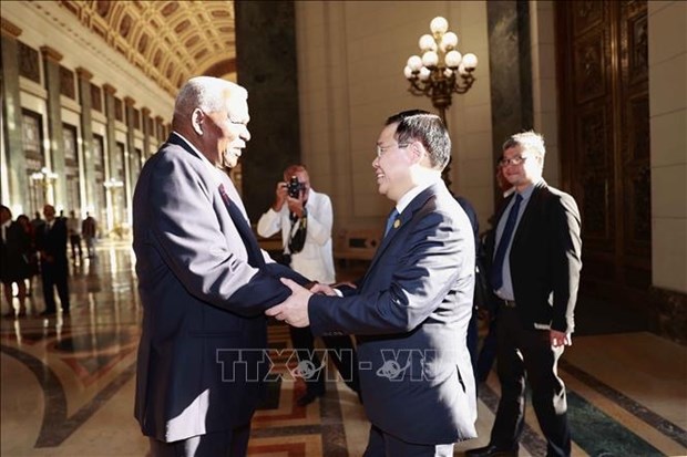 Vietnam, Cuba seek measures to strengthen fraternal solidarity hinh anh 1