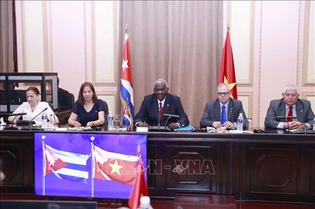 Vietnam, Cuba seek measures to strengthen fraternal solidarity hinh anh 5