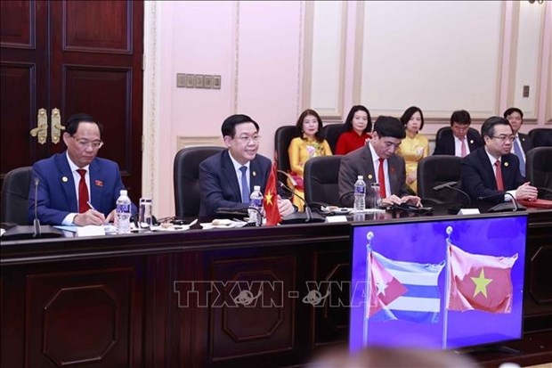 Vietnam, Cuba seek measures to strengthen fraternal solidarity hinh anh 4