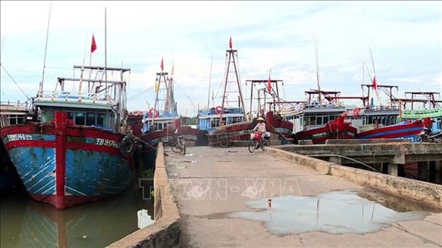 Thanh Hoa province enhances monitoring of fishing boats hinh anh 1