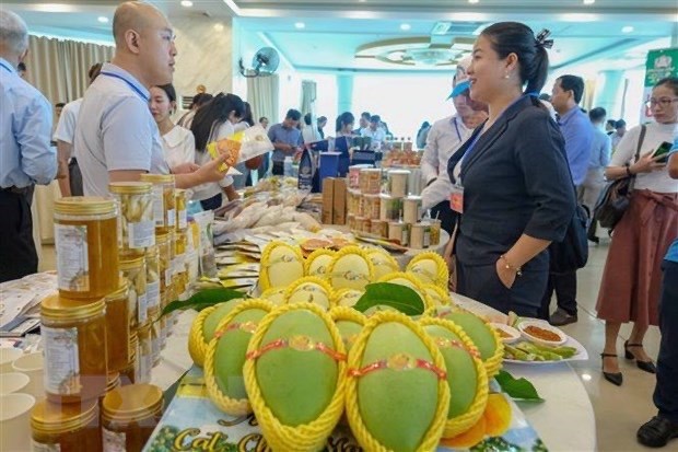 Vietnam, China’s Chongqing enjoy stronger trade ties hinh anh 1