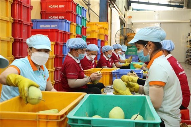 Officials seek to boost agricultural trade between Vietnamese, Chinese localities hinh anh 1