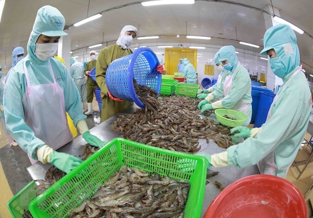 Global shrimp demand expected to rebound from Q2 hinh anh 1