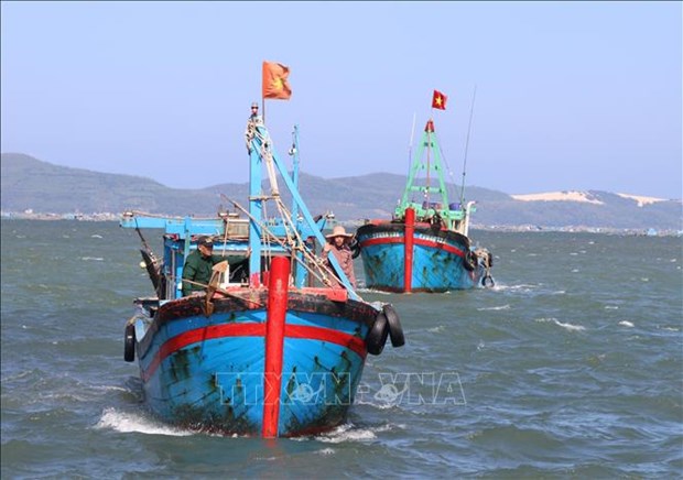 Fishing vessels in Phu Yen toe the line, avoid illegal fishing in foreign waters hinh anh 1