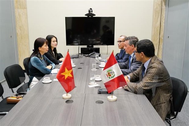 Peruvian President hails bilateral relations with Vietnam hinh anh 1