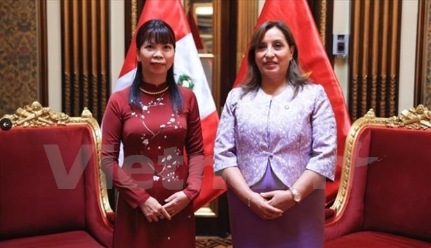 Peruvian President hails bilateral relations with Vietnam hinh anh 2
