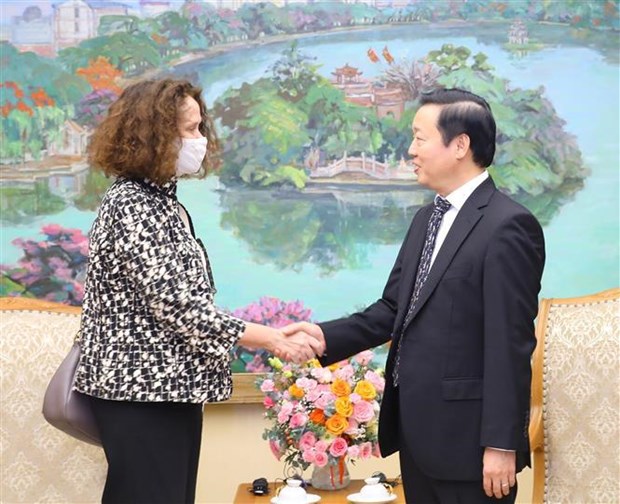 Deputy PM hosts WB Country Director for Vietnam hinh anh 1