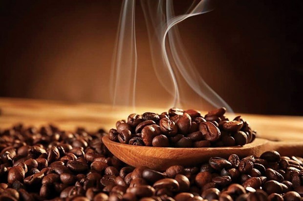 Seminar seeks to improve value of Vietnamese coffee hinh anh 1