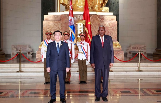 NA leader’s Cuba visit a success beyond expectations: expert hinh anh 1