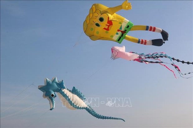 Binh Thuan: Kite flying festival fascinates visitors hinh anh 2