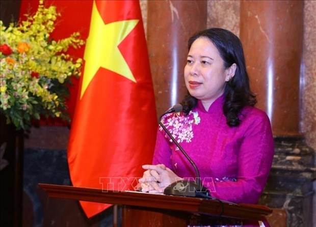 Vietnam - UAE cooperation to enter new development stage: ambassador hinh anh 1