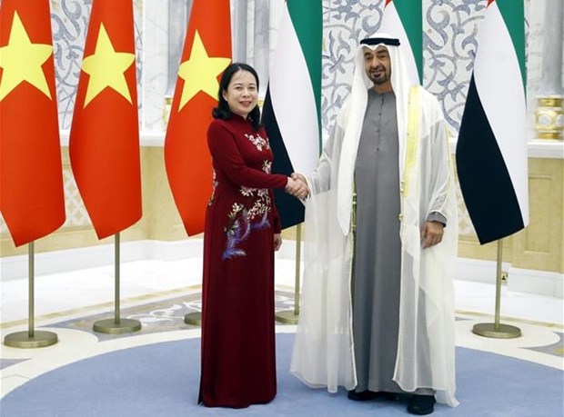 Vice State President meets with President of UAE hinh anh 1