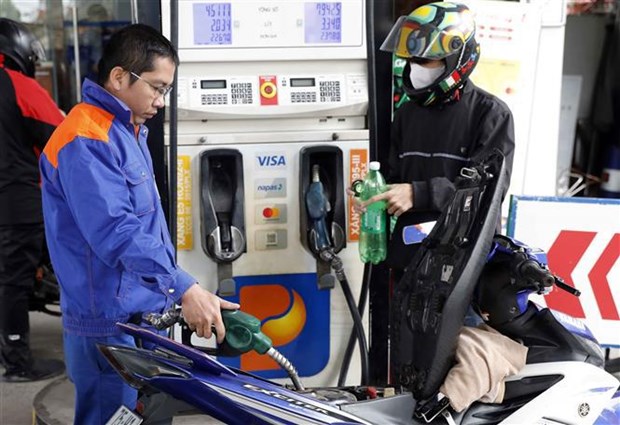 Petrol prices revised down by more than 1,000 VND per litre hinh anh 1
