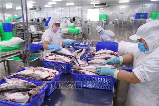 Fishery exports dwindle in first four months hinh anh 1