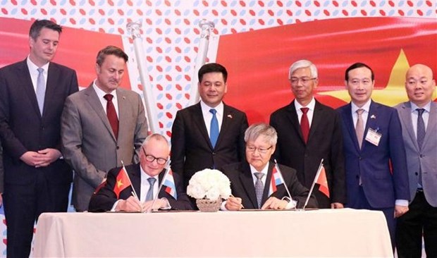 Vietnam, Luxembourg seek to bolster trade, investment partnership hinh anh 1