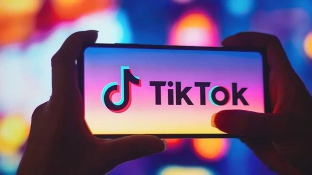 Vietnam to probe TikTok comprehensively over ‘toxic’ contents from May 15 hinh anh 1
