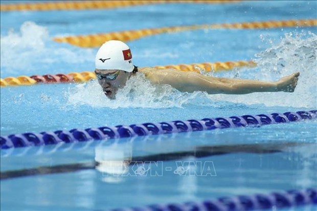 Swimmer, marathoner bag gold medals at SEA Games 32 hinh anh 1