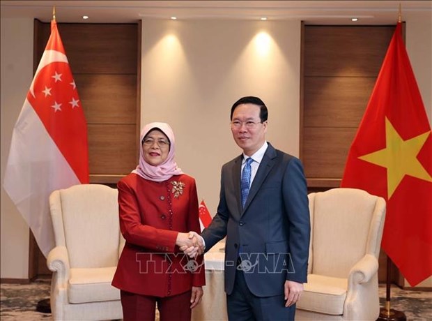 State President meets Singaporean counterpart in UK hinh anh 1