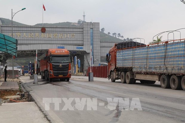 Warning issued on false information on exporting agricultural products to China hinh anh 1