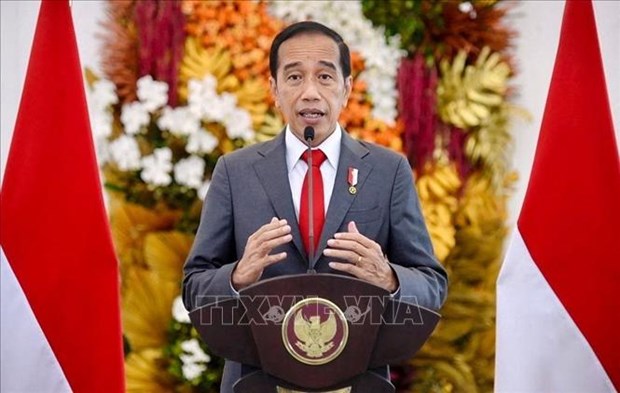 Indonesia backs promotion of 5-Point Consensus on Myanmar hinh anh 1