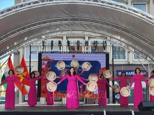Vietnamese Culture Day takes place in Hungary hinh anh 1