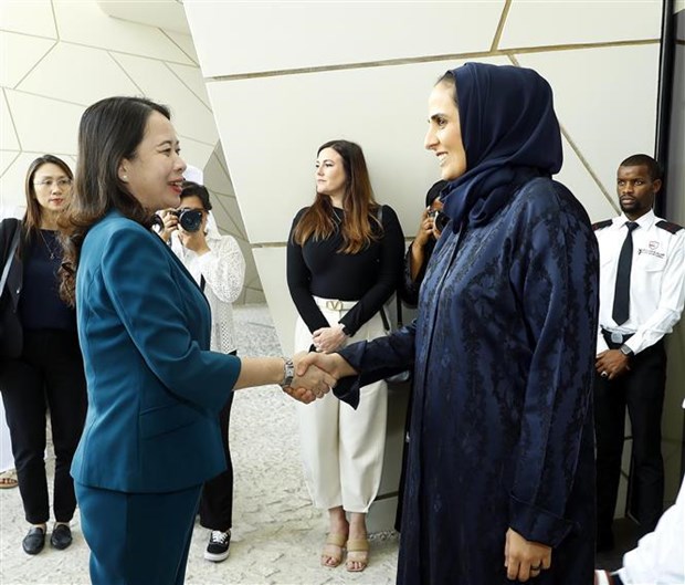 Vietnam looks to promote comprehensive cooperation with Qatar: Vice President hinh anh 2
