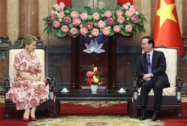 President welcomes Honorary President of UNICEF Belgium hinh anh 1